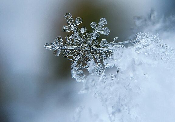 Zimski Beauty & Make-up Saveti 